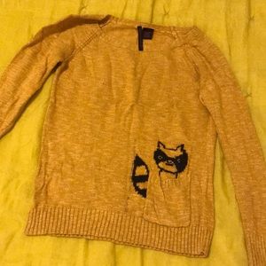 Adorable raccoon in pocket sweater